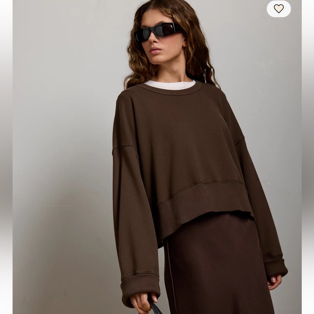 American Eagle AE77 Premium Relaxed Cropped Sweatshirt Organic Cotton Brown Sz S - Picture 1 of 8